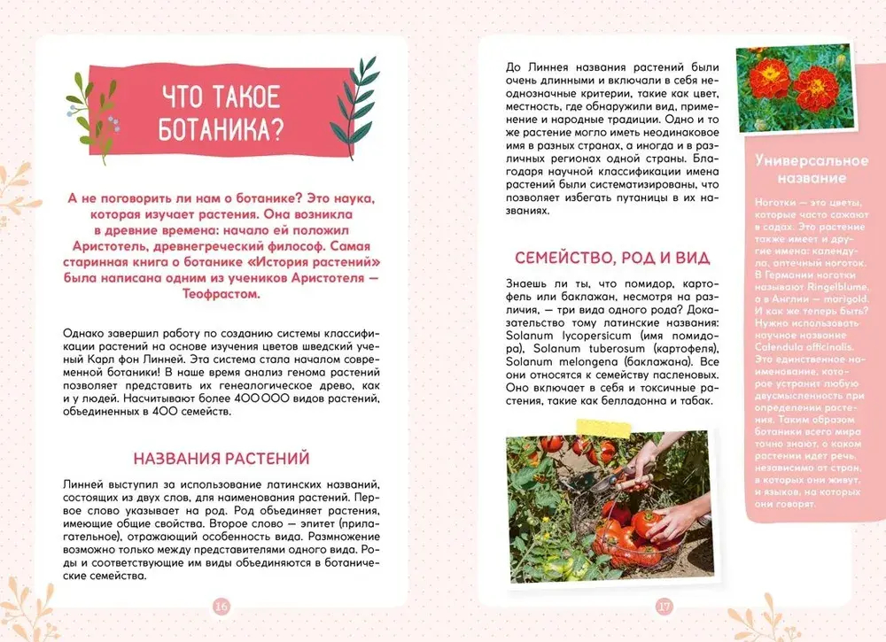 Растения вокруг нас