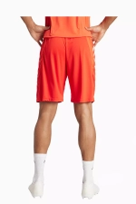 Шорты adidas FC Bayern 23/24 Training