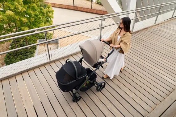 Переноска для питомца к детской коляске Anex Modu Black