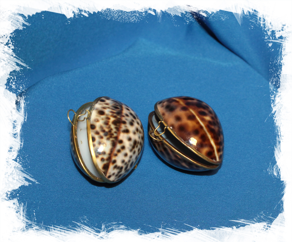 Шкатулка из ракушки Ципреи Тигрис