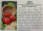 Томат Непас 6 Непасынкующийся Красный с носиком 0,1 г СМТ214