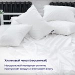 Сет: 2 подушки BuyLike