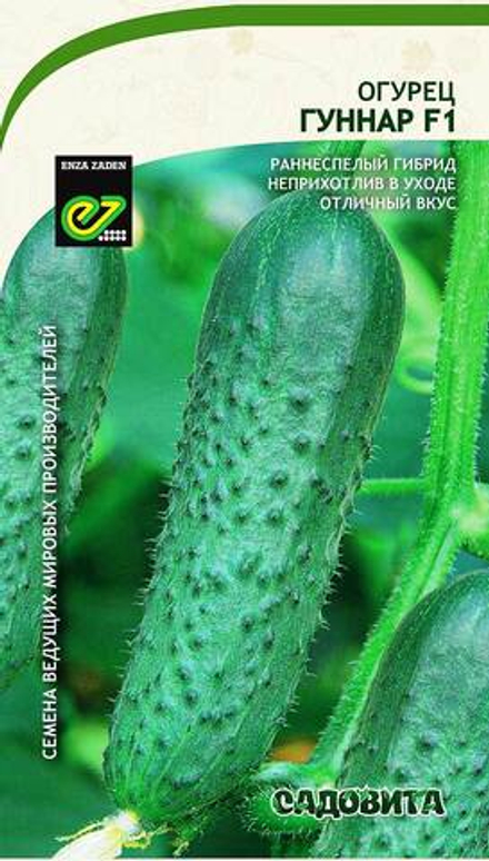 Огурец Гуннар F1 5шт Enza Zaden/Садовита