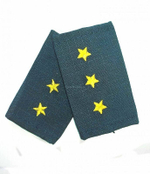 Фальшпогоны МЧС с вышитыми звездами ст. прапорщик