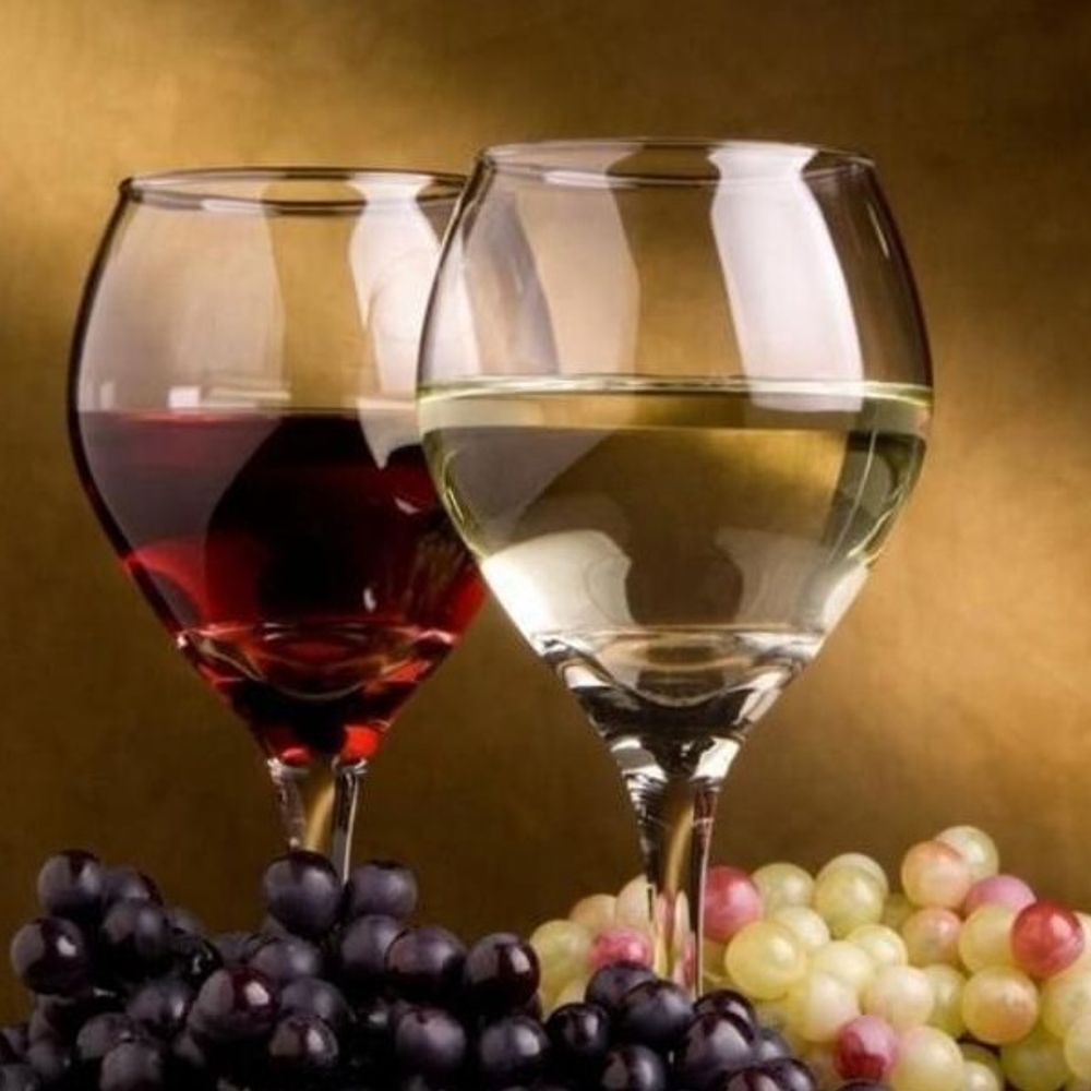 Мастер-класс «In vino veritas» с винной дегустацией от Студии Clever и Винного дома Caudal | 10.11.20 | ВТ | 19:00-22:00