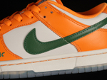 Nike Dunk Low Florida A&M University