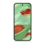 Смартфон Google Pixel 9 128 ГБ («Зимнезелёный» | Wintergreen)