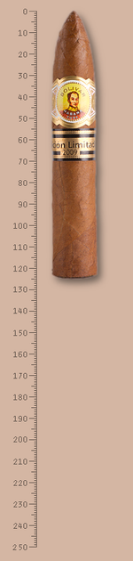Bolivar Petit Belicosos Edition Limitada 2009