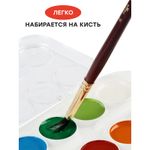 Акварель Гамма "Мультики" NEW, медовая, 12 цветов, без кисти, пластик. упак., европодвес (спец. заказ)