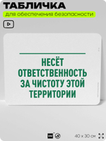 Табличка для обеспечения безопасности "Ответственный за чистоту территории", для офиса, по охране труда для предприятия, организаций, 40х30 см, Silver Plane x Айдентика Технолоджи