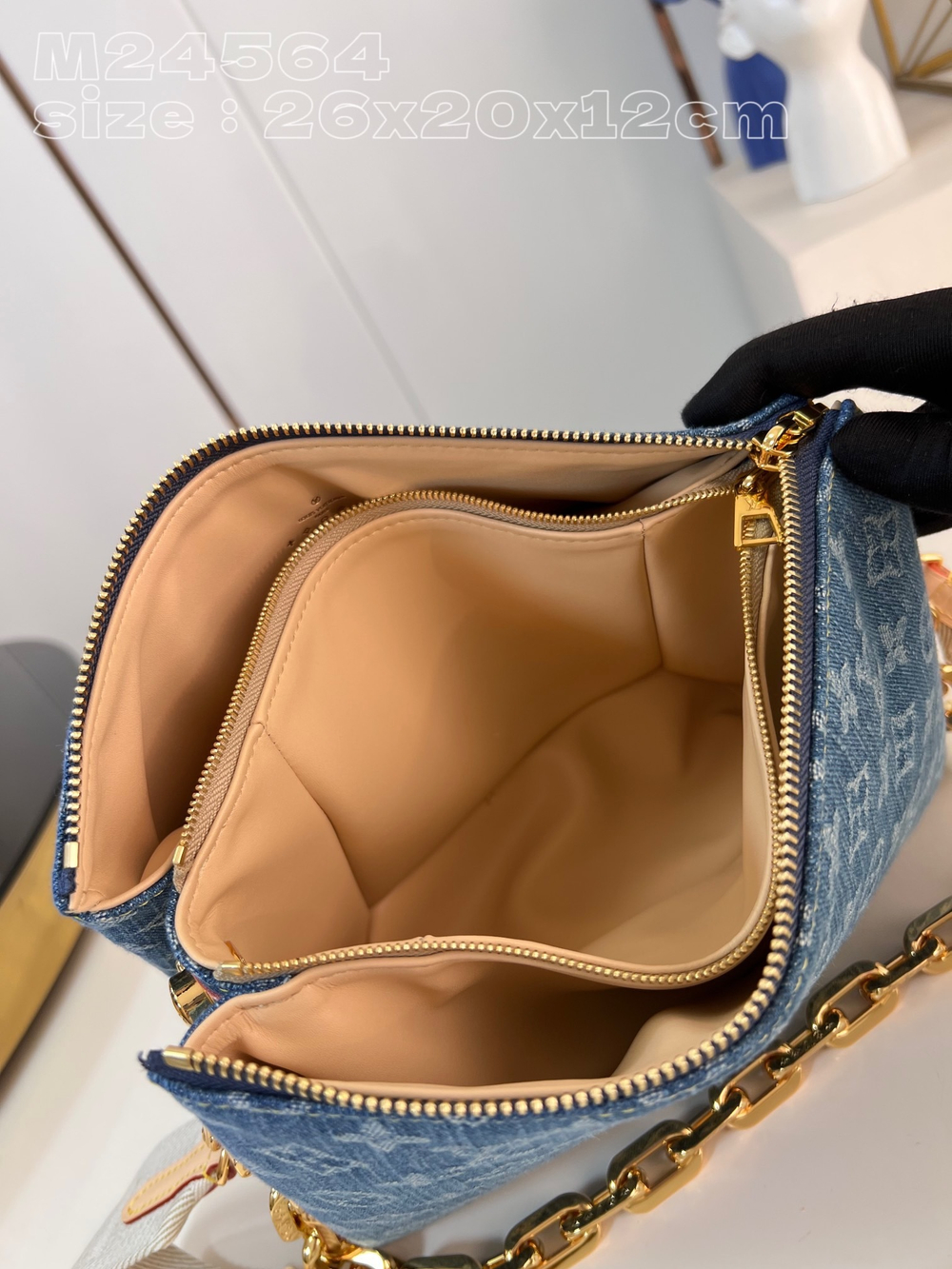 Louis Vuitton Coussin PM