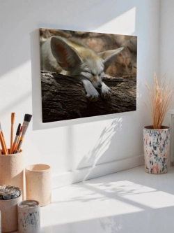 Картина на стену 40 X 50 Лиса фенек