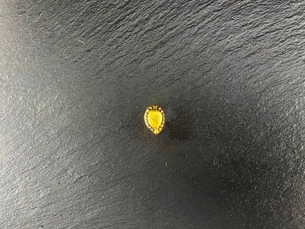 Русь, Торопец 10-11 в.