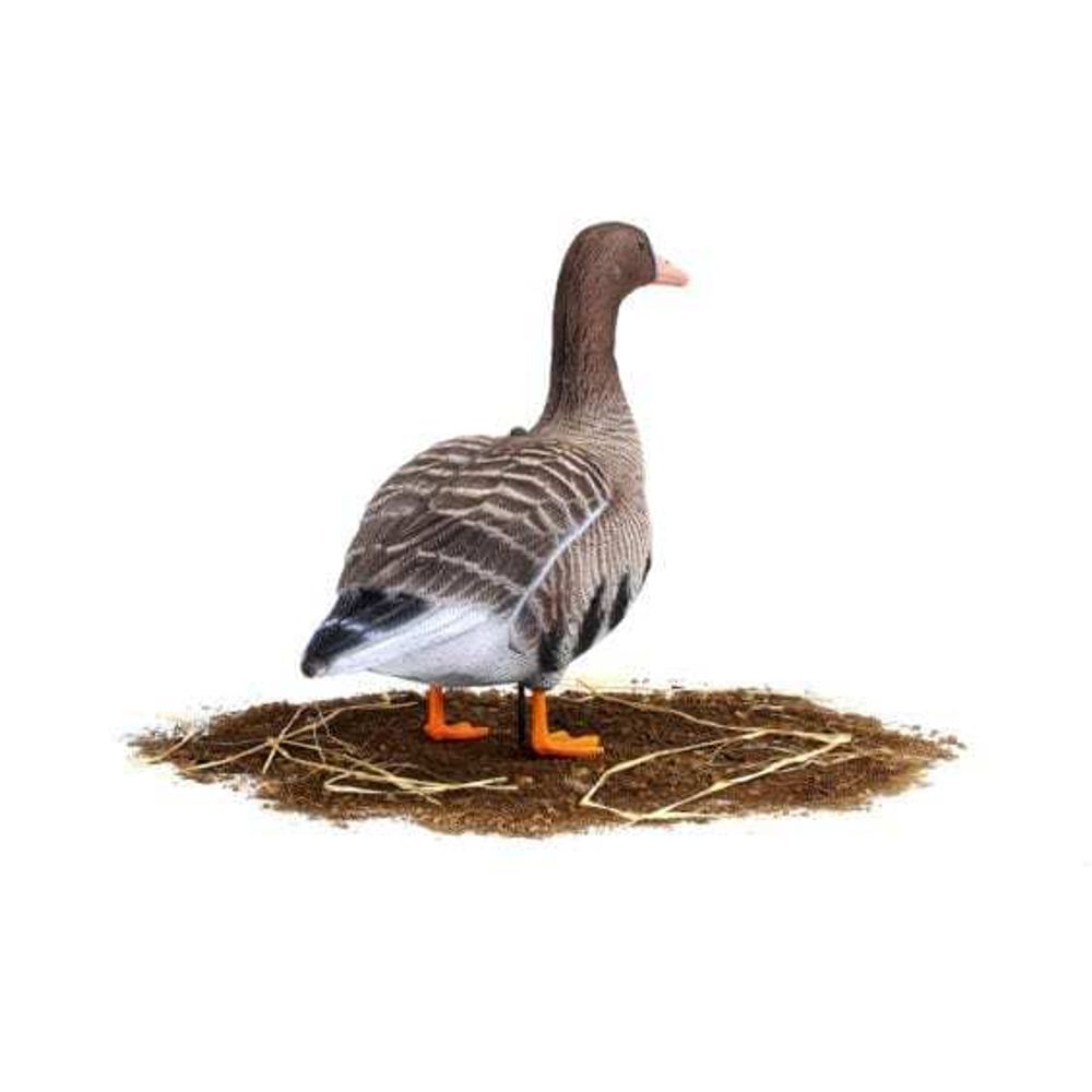 Комплект чучел Белолобый (10шт) S-XPE B622-3D "North Way"