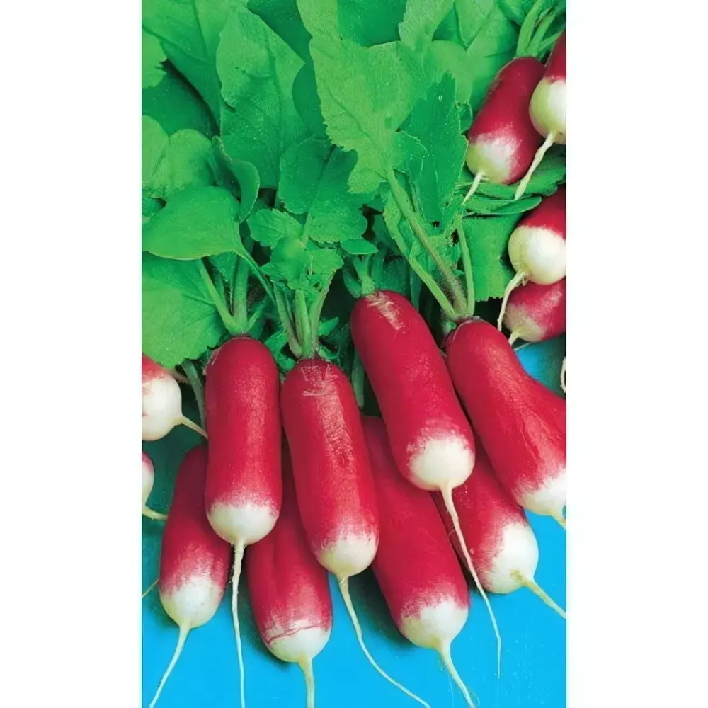 Семена Редис 18 дней (Марс) Б/П