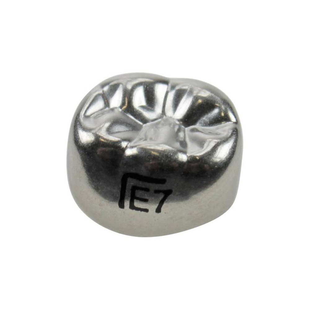 Второй нижний левый моляр, размер 7 (E-LL-7)