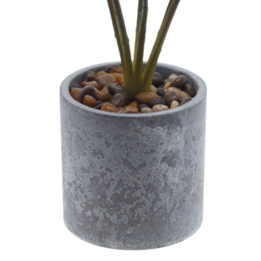 GAEM Цветочная композиция "Маранта", L10 W10 H35 см