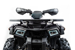 Квадроцикл MOTOLAND 200 Wild Track X Pro (2022)