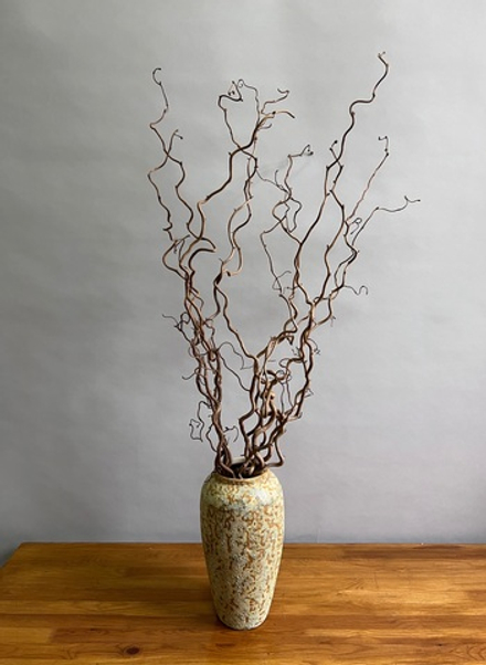 Корилус 120 см