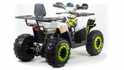 Квадроцикл MOTOLAND 200 Wild Track Lux ( Баланс. вал) (2021 Г.)