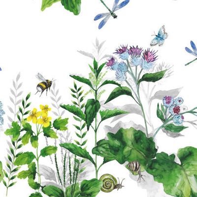 Дикие травы, репейник, шмель, стрекоза