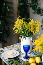 Majolica Photo Day