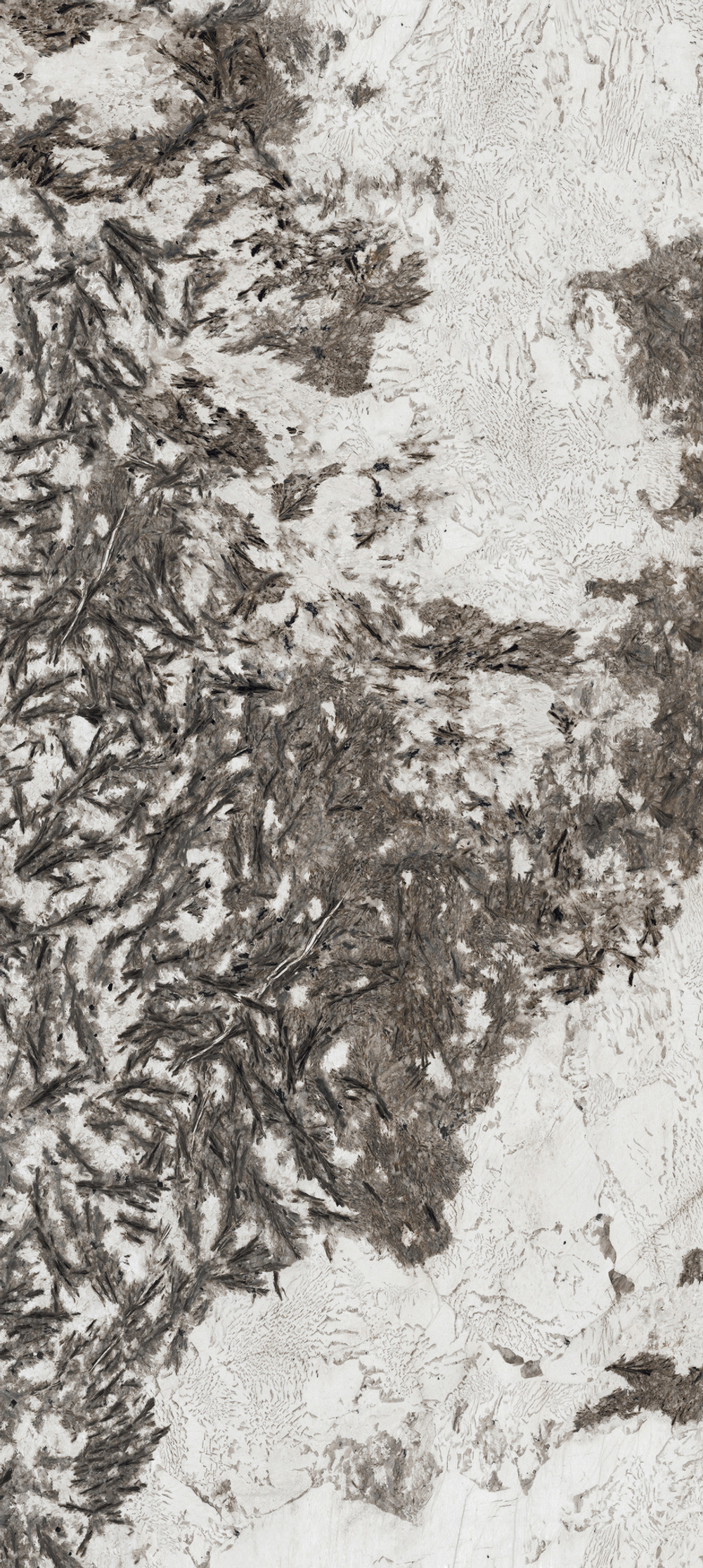 BUTTERFLY LOVE & GOLDEN FLOWER