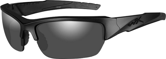 Очки WILEY X VALOR