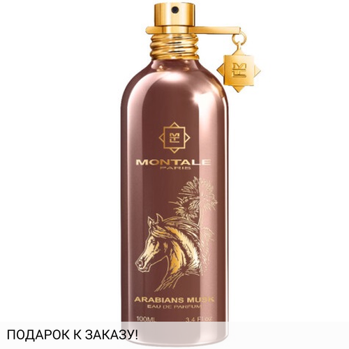 Montale Arabians Musk