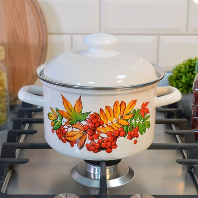 Кастрюля 2л "Рябина"