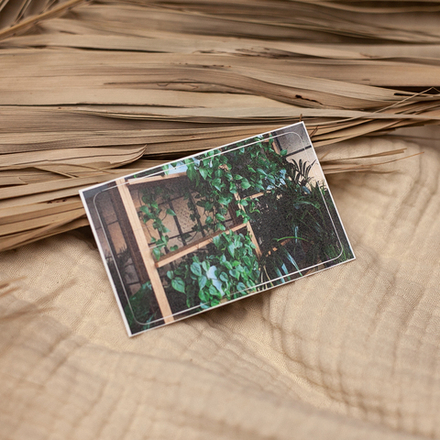 Наклейка на карту "Лиана" 💳