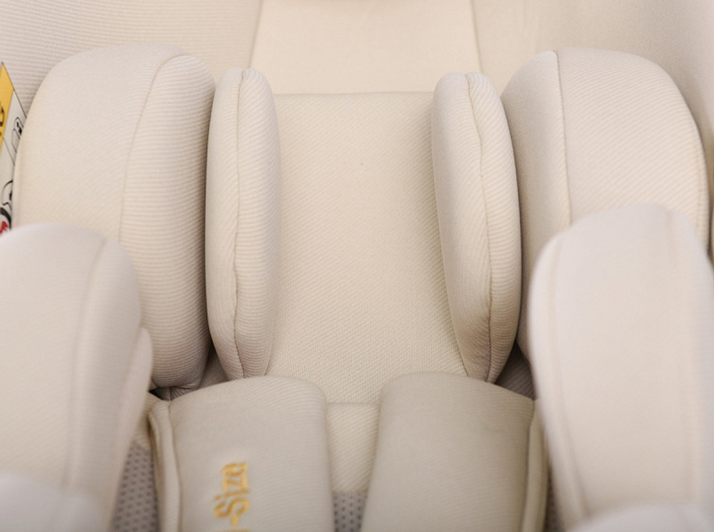 Прогулочная коляска Peppy Amici с автокреслом Verona Beige Green рама Gold