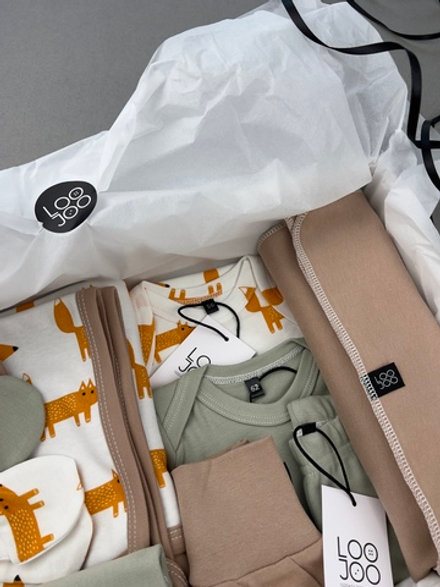 Сет LooJoo Newborn Лисы из 16-ти предметов (unisex)