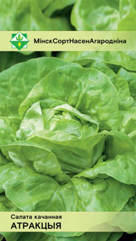 Салат кочанный "Атракция" 0.5г, Италия.