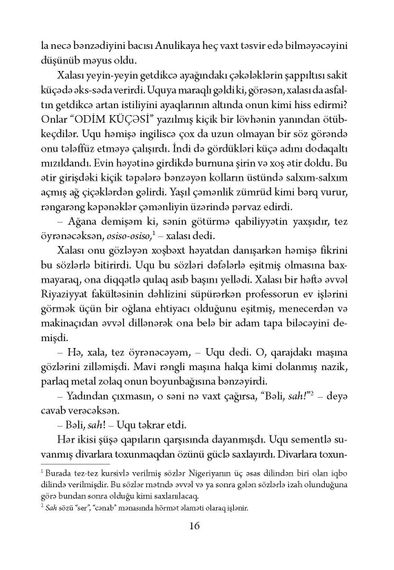 Sarı Günəşin yarısı