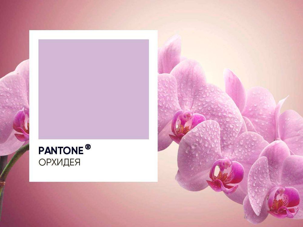 Шар (19''/48 см) Сердце, Орхидея, 1 шт.