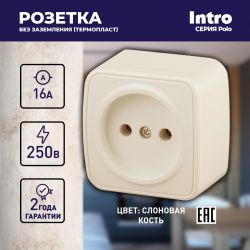 3-201-02 Intro Розетка 2P, 16А-250В, IP20, ОУ, Polo, сл.кость