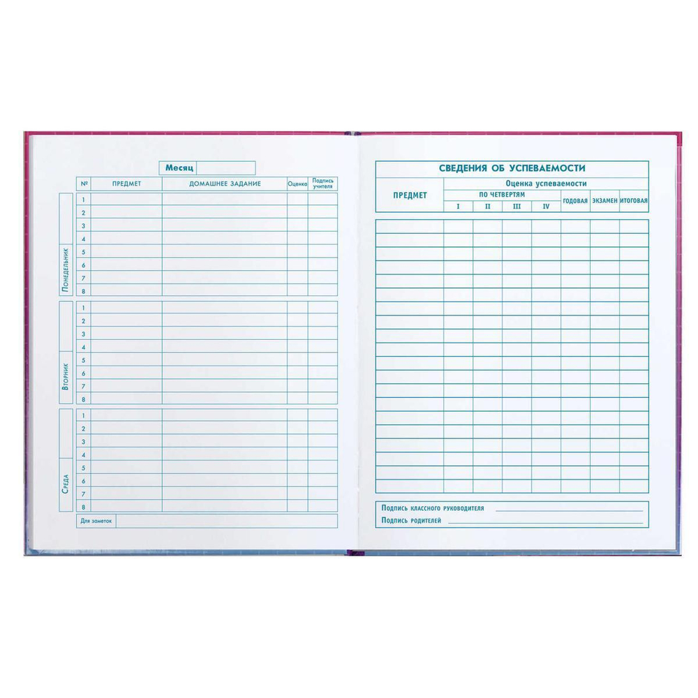 Дневник школьный 1-4 класс 48л "Чиби" (Феникс+)