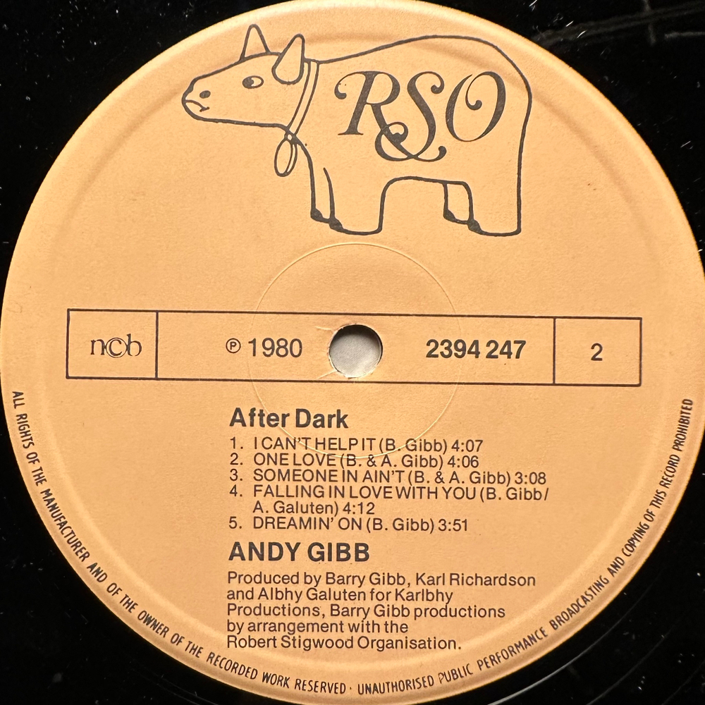 Andy Gibb- After Dark (Скандинавия 1980г.)