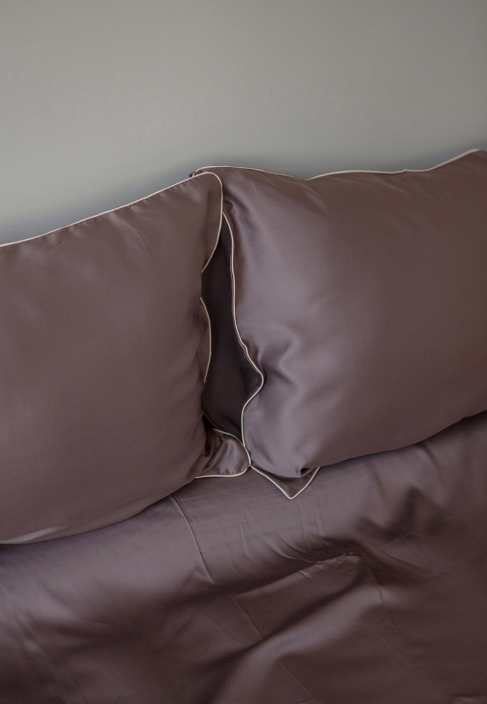 Постельное белье 1.5 спальное Luxberry Тенсель коричневое