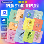 Тетради предметные со справочным материалом комплект 12 ПРЕДМЕТОВ 48 л. обложка картон BRAUBERG "VISION" (2 штуки в упаковке)