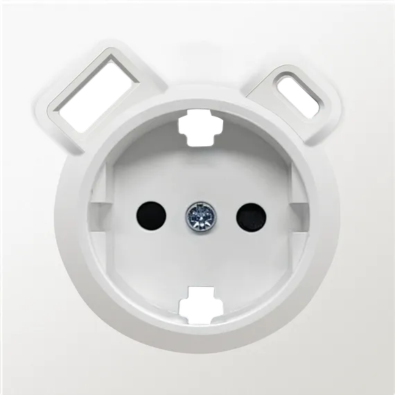 Donel R98 матовый жасмин накладка для розетки Schuko с зарядным устройством USB A+C, с защитными што