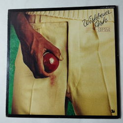 Винтажная виниловая пластинка LP Wishbone Ash There The Rub (Japan 1974) (No Obi) Lady Jay