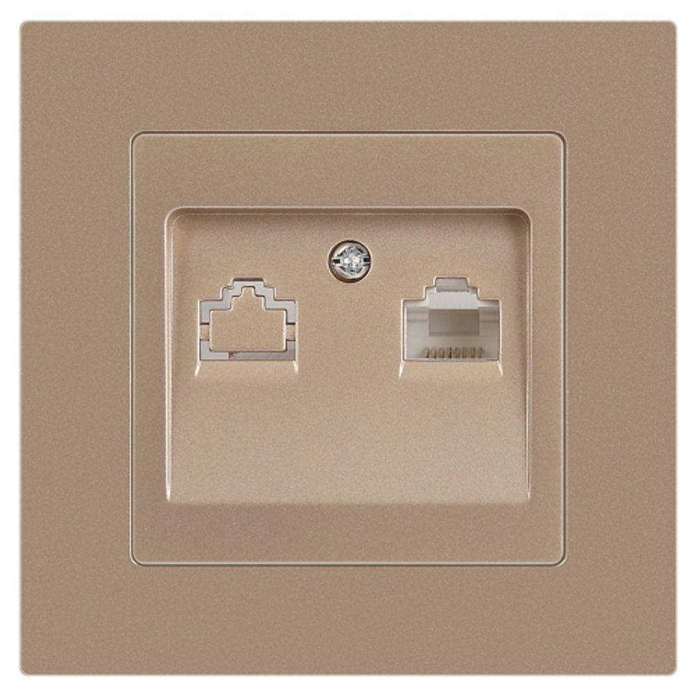 Розетка Intro Accent 6-303-04 информационная RJ45 IP20 СУ шампань