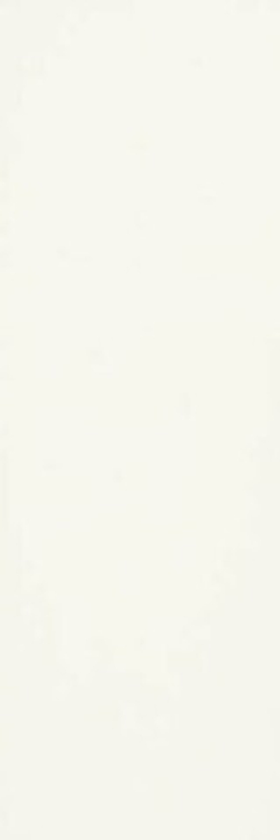 Плитка настенная Daikiri Crema