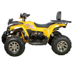 Квадроцикл AVANTIS Hunter 200 BIG Premium (Баланс. вал)