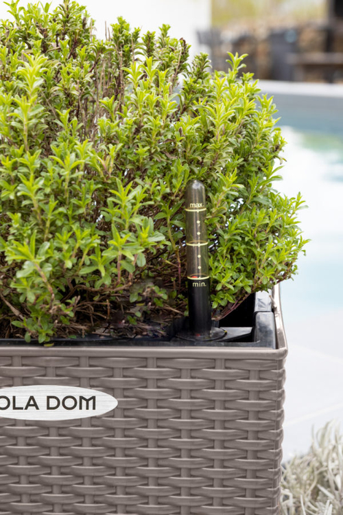 Кашпо Ротанг Ola Dom серый (12л)