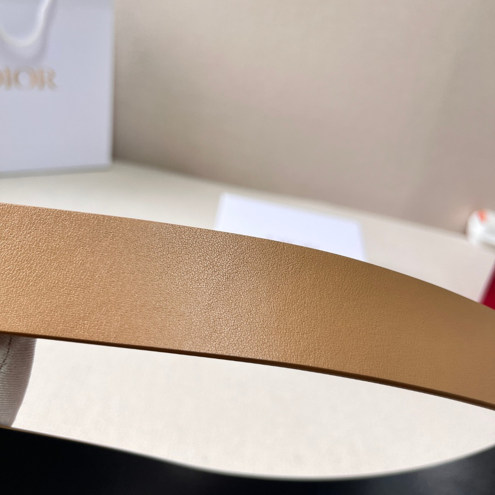 Christian Dior Belt