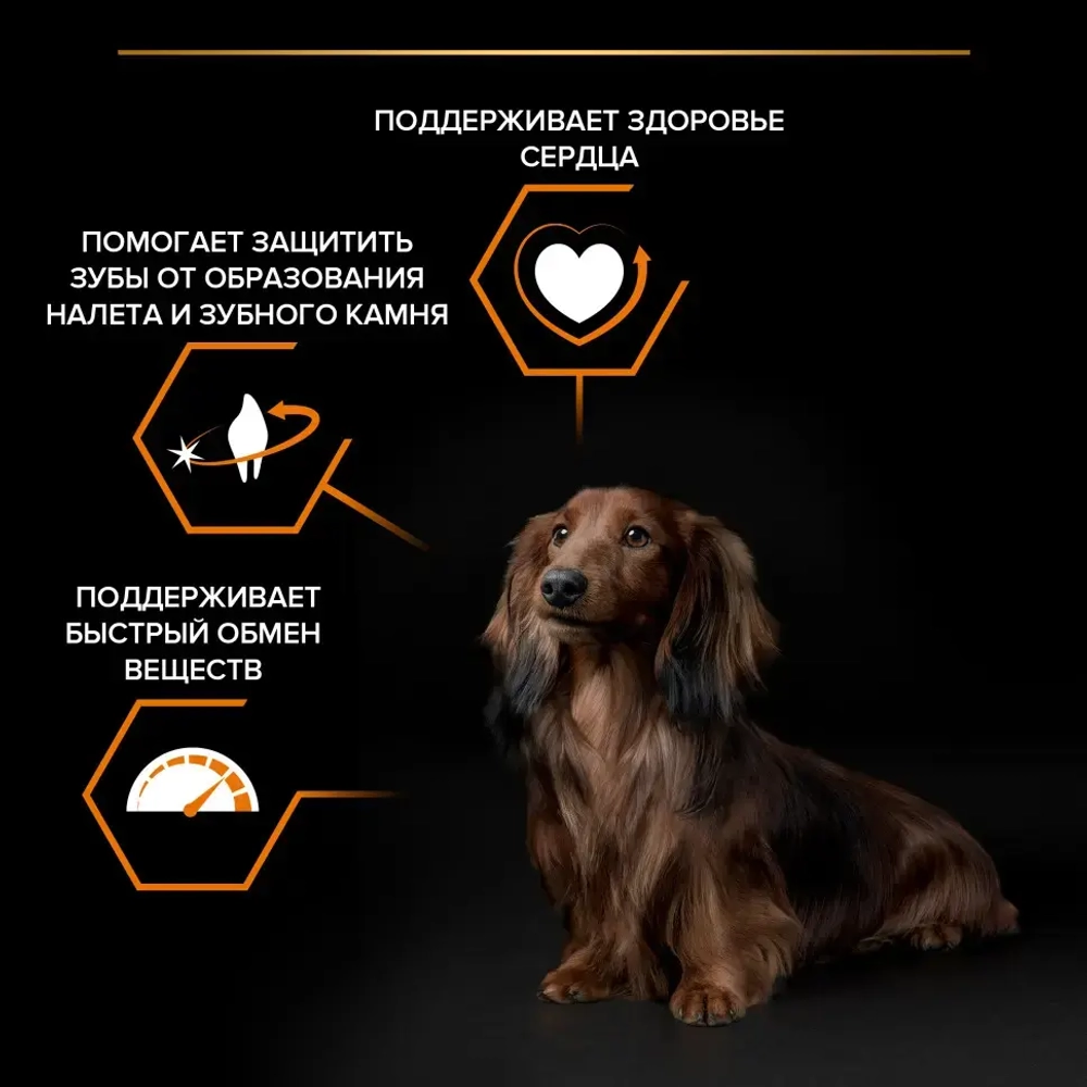 Purina pro plan small & mini сухой корм для взрослых собак миниатюрных и мелких пород с курицей и рисом - 700 г