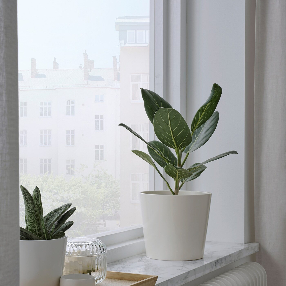 IKEA SOJABÖNA  (ИКЕА СОЙАБÖНА)  -  Простыня, белая, 15 см